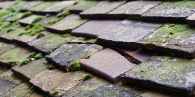 Alvecote roof repair costs